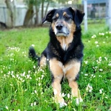 Entry image for Billy