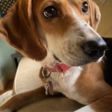 Entry image for Jackie