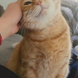 Entry image for Kevin