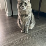 Entry image for Stormy