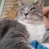 Entry image for Whiskey