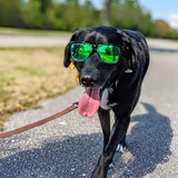 Entry image for Finley