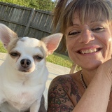 Entry image for Elvis