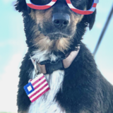 Entry image for Athena aka piggy 