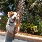 Entry image for DOLLAR 