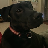 Entry image for Skye