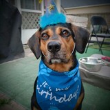 Entry image for Radio