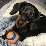 Entry image for Moxie 