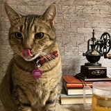 Entry image for Minerva