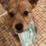 Entry image for Boston