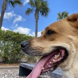 Entry image for Rainy