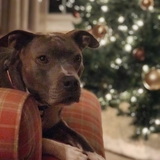 Entry image for Skai