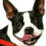 Entry image for Mimi