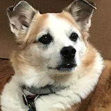 Entry image for Theo