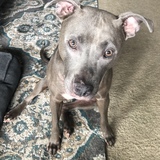 Entry image for Maddie