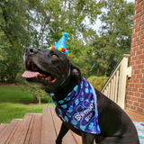 Entry image for Axel