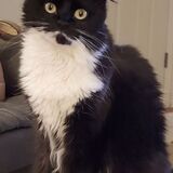 Entry image for Belle