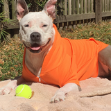 Entry image for Piper