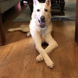 Entry image for Dundee