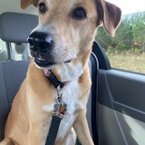 Entry image for Friday 