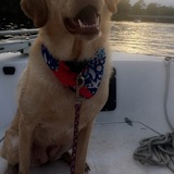 Entry image for Ripley