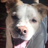 Entry image for Tucker 