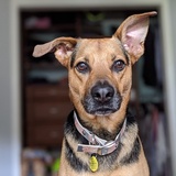 Entry image for Oakley