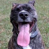 Entry image for Roux