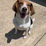 Entry image for Holly