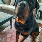 Entry image for George