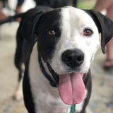 Entry image for Coach