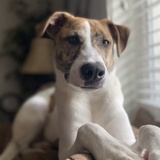 Entry image for Ellie Mae