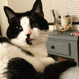 Entry image for Swift