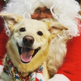 Entry image for Echo