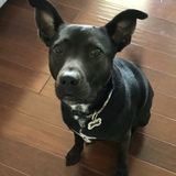 Entry image for Mayfield