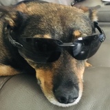 Entry image for Mick