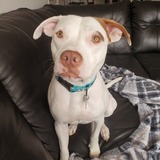 Entry image for Chance