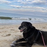 Entry image for Colbie