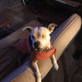 Entry image for Benny Lynn