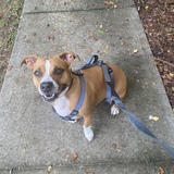 Entry image for Willow Martin