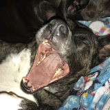 Entry image for Yoda