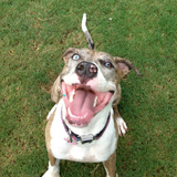 Entry image for Birdie Grace 