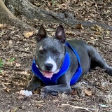 Entry image for Mina