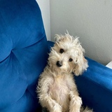 Entry image for Louie B