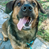 Entry image for Pluto