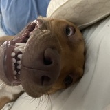 Entry image for Milly