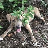 Entry image for Bubbs