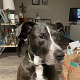 Entry image for Cash