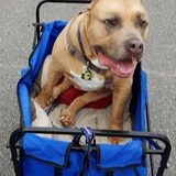 Entry image for Loki