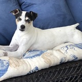 Entry image for Batz